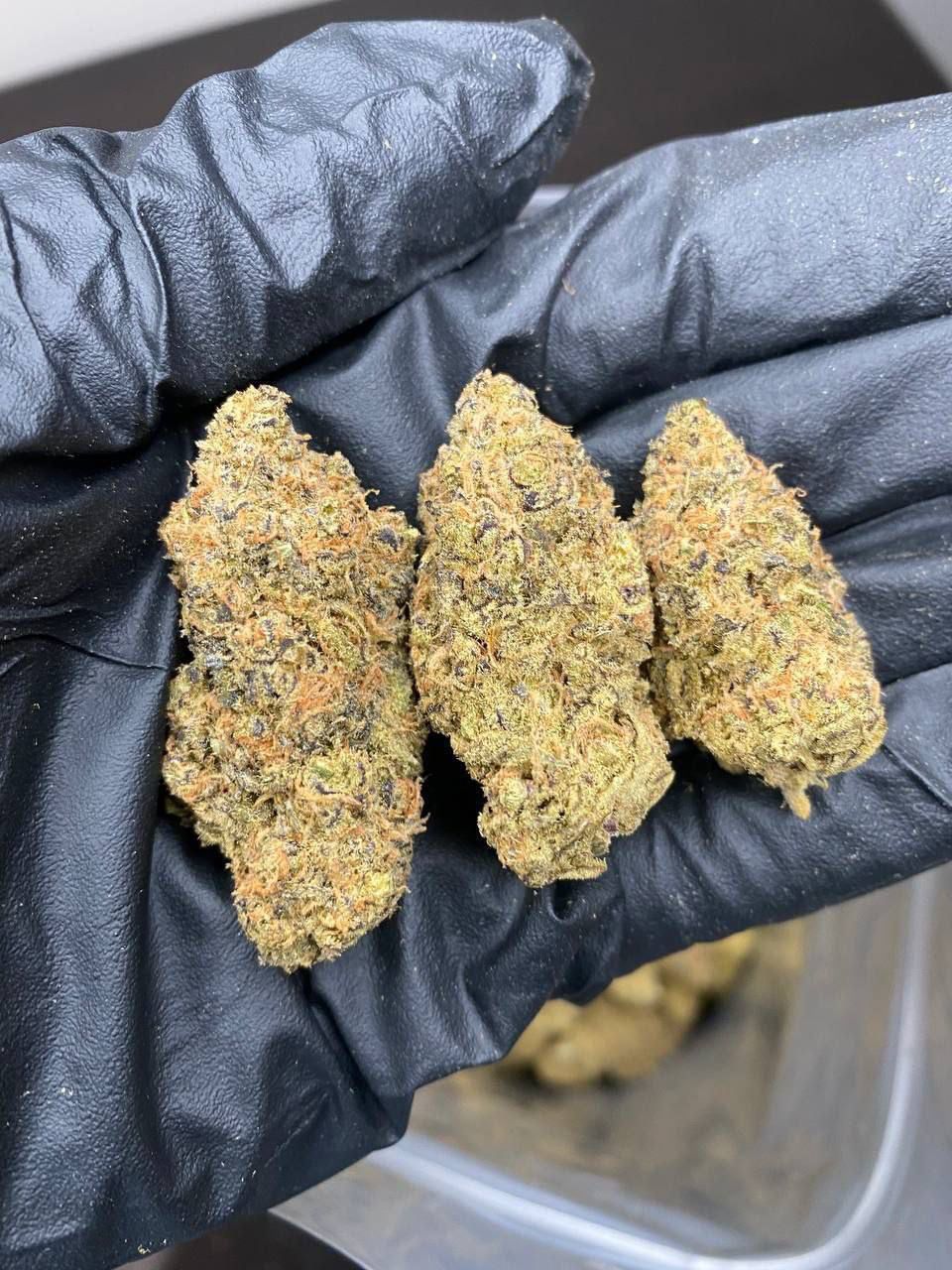 buy weed in hamburg
