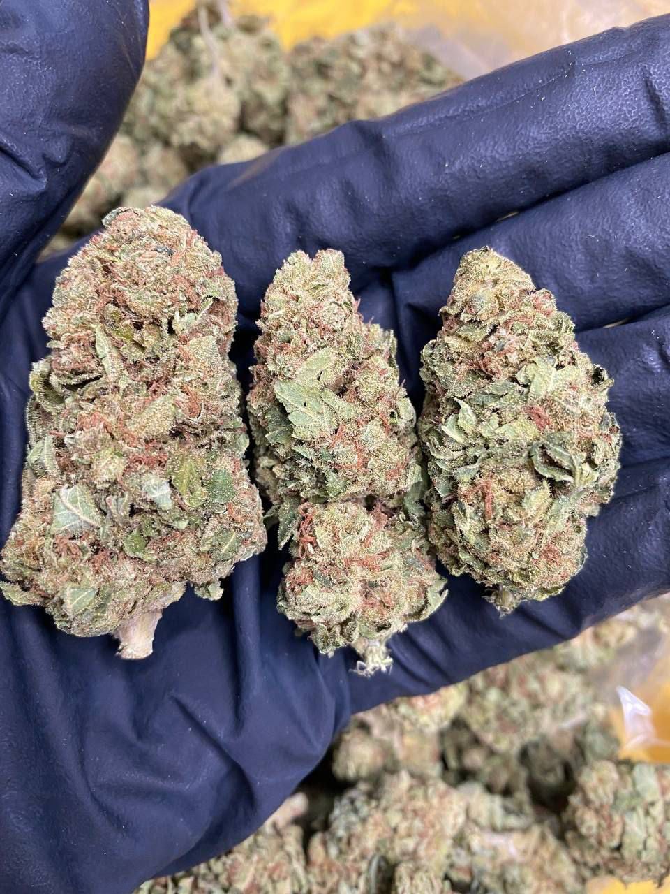 buy weed online hamburg